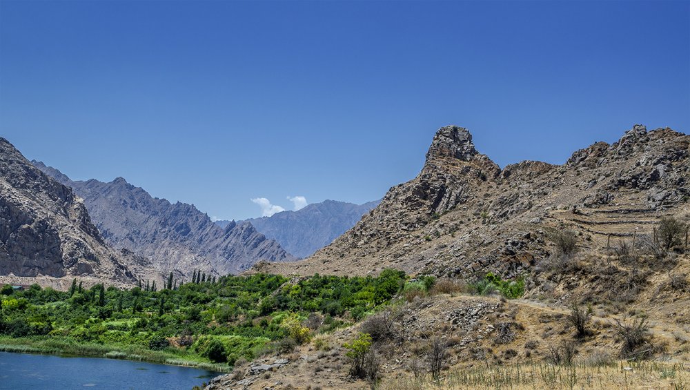 Տուր Մեղրի